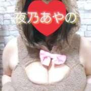 ヒメ日記 2025/11/15 08:50 投稿 夜乃～YANO～ BBW名古屋店