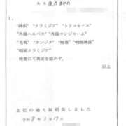 ヒメ日記 2026/03/27 11:10 投稿 夜乃～YANO～ BBW名古屋店