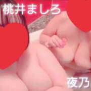 ヒメ日記 2026/04/17 13:20 投稿 夜乃～YANO～ BBW名古屋店