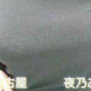 ヒメ日記 2026/06/28 08:30 投稿 夜乃～YANO～ BBW名古屋店