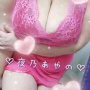 ヒメ日記 2026/07/13 07:50 投稿 夜乃～YANO～ BBW名古屋店