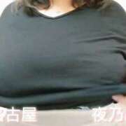 ヒメ日記 2026/07/16 08:40 投稿 夜乃～YANO～ BBW名古屋店