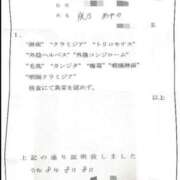 ヒメ日記 2026/08/16 08:10 投稿 夜乃～YANO～ BBW名古屋店