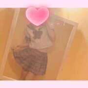 ヒメ日記 2024/12/08 12:20 投稿 うに チューリップ姫路店