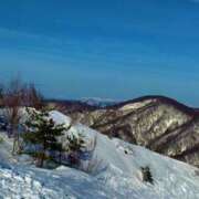 ヒメ日記 2025/02/03 15:50 投稿 うに チューリップ姫路店