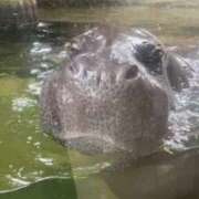 ヒメ日記 2025/03/13 12:20 投稿 うに チューリップ姫路店