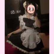 ヒメ日記 2025/05/28 17:20 投稿 うに チューリップ姫路店