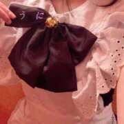 ヒメ日記 2025/06/08 19:20 投稿 うに チューリップ姫路店