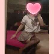 ヒメ日記 2025/09/14 08:19 投稿 うに チューリップ姫路店