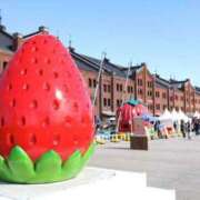 ヒメ日記 2025/02/14 14:35 投稿 えりな 横浜Cute