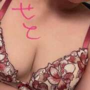 ヒメ日記 2025/05/31 14:55 投稿 せと 無我（むが）