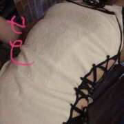 ヒメ日記 2025/11/21 14:28 投稿 せと 無我（むが）