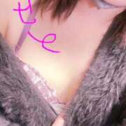 ヒメ日記 2025/11/29 12:35 投稿 せと 無我（むが）