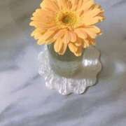 ヒメ日記 2025/04/15 22:39 投稿 ほのか マダムハンズ神田店