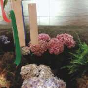 ヒメ日記 2025/07/08 21:55 投稿 ほのか マダムハンズ神田店