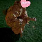 ヒメ日記 2025/08/31 19:34 投稿 ほのか マダムハンズ神田店