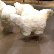 ヒメ日記 2025/10/02 15:51 投稿 ほのか マダムハンズ神田店