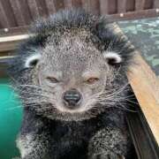 ヒメ日記 2025/10/16 03:07 投稿 うる ちゃんこ摂津・茨木店