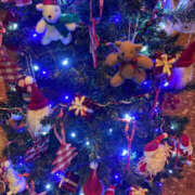 ヒメ日記 2025/11/11 21:07 投稿 うる ちゃんこ摂津・茨木店