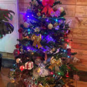 ヒメ日記 2025/12/05 01:55 投稿 うる ちゃんこ摂津・茨木店