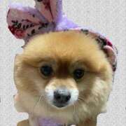 ヒメ日記 2026/01/26 23:22 投稿 うる ちゃんこ摂津・茨木店