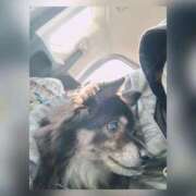 ヒメ日記 2026/01/27 16:12 投稿 うる ちゃんこ摂津・茨木店