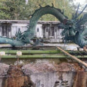 ヒメ日記 2026/03/08 01:39 投稿 うる ちゃんこ摂津・茨木店