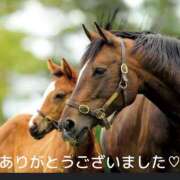 ヒメ日記 2024/12/19 13:14 投稿 熟女 みほ ハナミズキ