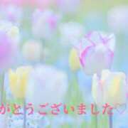 ヒメ日記 2024/12/31 12:16 投稿 熟女 みほ ハナミズキ