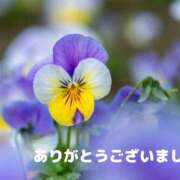 ヒメ日記 2025/02/01 12:46 投稿 熟女 みほ ハナミズキ