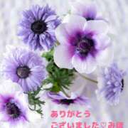 ヒメ日記 2025/02/03 17:06 投稿 熟女 みほ ハナミズキ