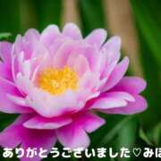 ヒメ日記 2025/02/10 13:50 投稿 熟女 みほ ハナミズキ