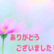 ヒメ日記 2025/02/23 01:40 投稿 熟女 みほ ハナミズキ