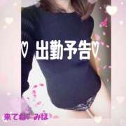 ヒメ日記 2025/03/06 15:08 投稿 熟女 みほ ハナミズキ