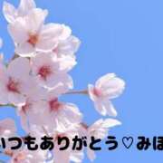 ヒメ日記 2025/04/06 10:04 投稿 熟女 みほ ハナミズキ