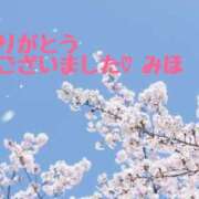 ヒメ日記 2025/04/12 14:48 投稿 熟女 みほ ハナミズキ