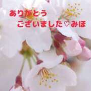 ヒメ日記 2025/04/13 23:54 投稿 熟女 みほ ハナミズキ