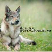 ヒメ日記 2025/05/05 14:56 投稿 熟女 みほ ハナミズキ