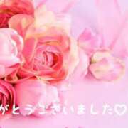 ヒメ日記 2025/05/14 08:48 投稿 熟女 みほ ハナミズキ