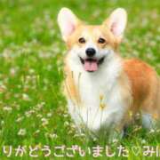 ヒメ日記 2025/05/17 08:54 投稿 熟女 みほ ハナミズキ