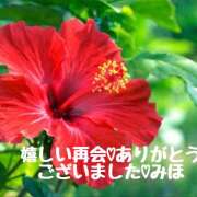 ヒメ日記 2025/05/27 12:18 投稿 熟女 みほ ハナミズキ