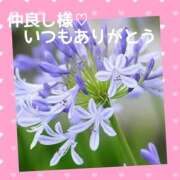 ヒメ日記 2025/06/13 23:08 投稿 熟女 みほ ハナミズキ