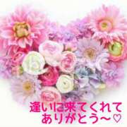 ヒメ日記 2025/06/22 11:22 投稿 熟女 みほ ハナミズキ