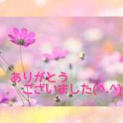 ヒメ日記 2025/09/22 08:58 投稿 熟女 みほ ハナミズキ