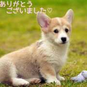 ヒメ日記 2025/09/24 12:22 投稿 熟女 みほ ハナミズキ