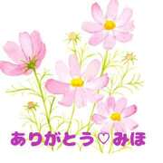 ヒメ日記 2025/10/06 09:00 投稿 熟女 みほ ハナミズキ