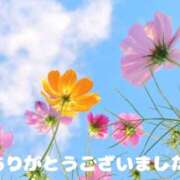 ヒメ日記 2025/10/09 11:14 投稿 熟女 みほ ハナミズキ