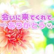 ヒメ日記 2025/10/23 19:30 投稿 熟女 みほ ハナミズキ