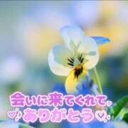 ヒメ日記 2025/11/04 09:02 投稿 熟女 みほ ハナミズキ