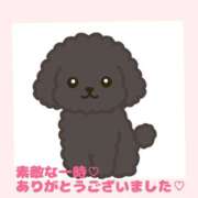 ヒメ日記 2025/11/17 09:00 投稿 熟女 みほ ハナミズキ